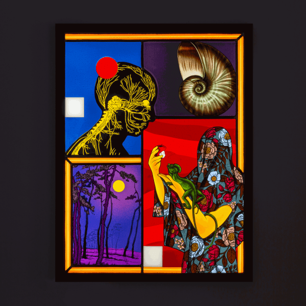 Amir H. Fallah | A Natural Selection