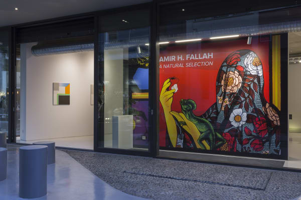 dh_amir-h.-fallah_a-natural-selection_2022_view-19.jpg
