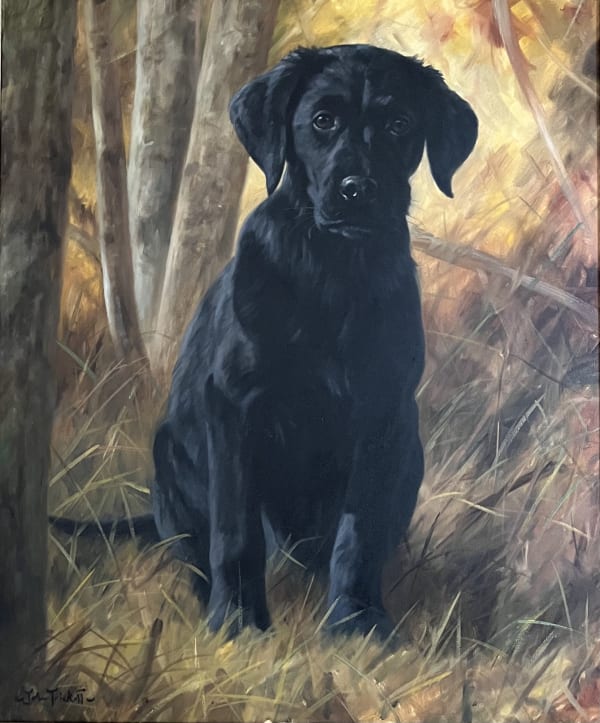 John Trickett, black Labrador puppy, original oil on canvas, for sale