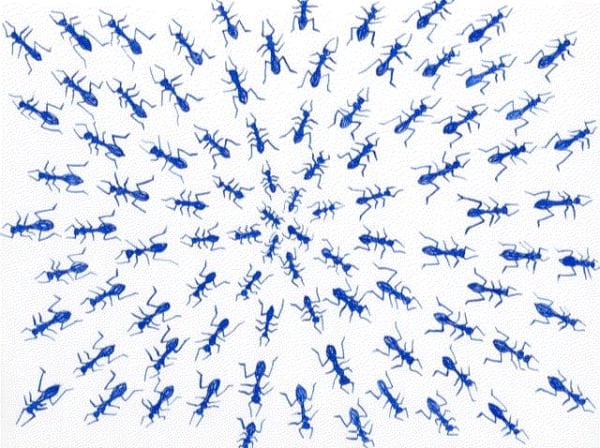 Philippa van Loon, Ants pace, 9.01.2021