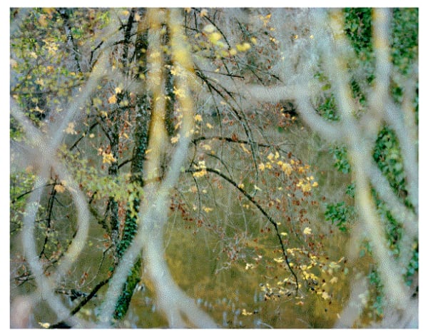 Rebecca Marshall, Vallée du Lot V, 2020