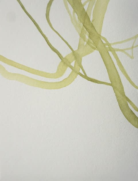 Lilian Cooper, Enteromorpha plumosa 3, 2020