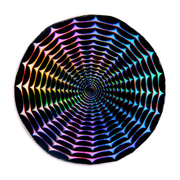 Annemarie Slobbe, Untitled (22), 2024