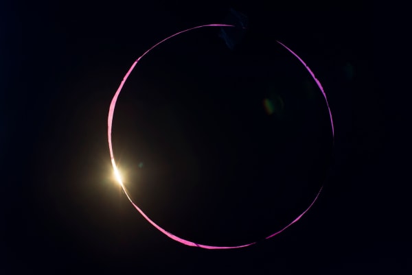 Photography Now curated by Pieter Sanders