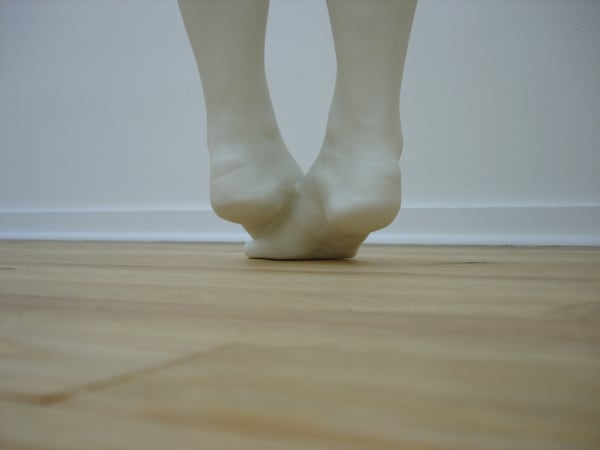 Carole Chebron, Les Soucis, 2006