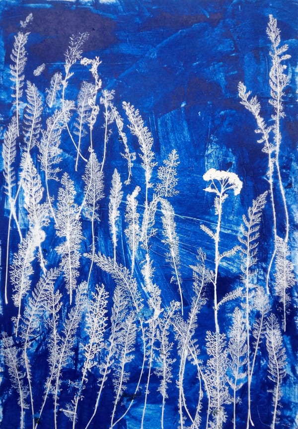 Afia Rezk, Carotte sauvage « 1 », 2020