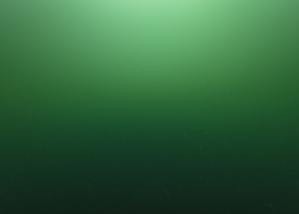 Nicolas Floc'h, Couleur de l'eau, Colonne d'eau, mer de Seto, Shodoshima , -25m, 2019. , 2019