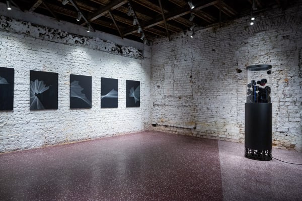 Out of the Black. Experiment X solo exhibition by Alina Aldea at Kube Musette Bucharest installation view 2019