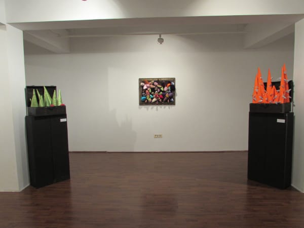 RALUCA ARNĂUTU: BOXES, DRAWERS AND A GIBBON
