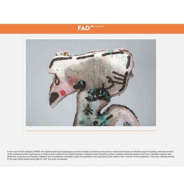 FAD Magazine — Tom Volkaert and Daan Gielis solo