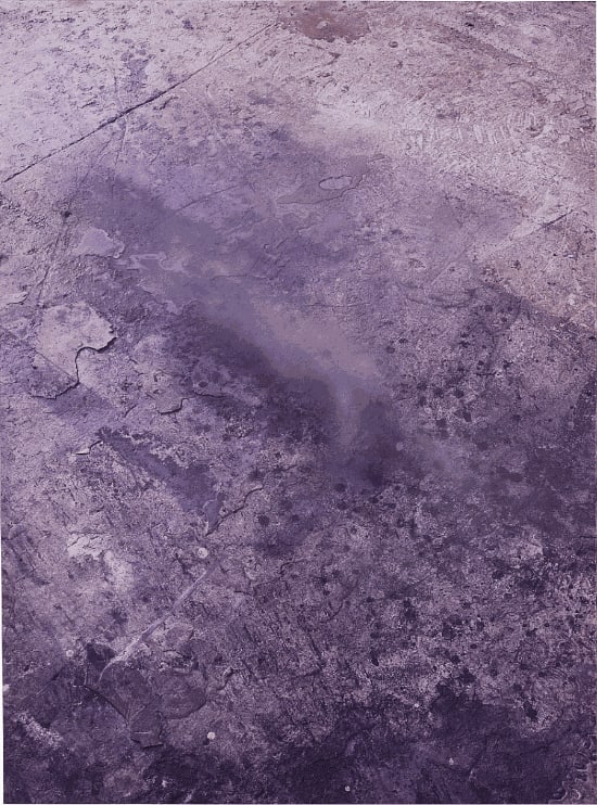 Screenshot 2022 04 06 At 12 19 49 Pm