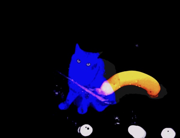 Tek 2110 Jwe 01 Image