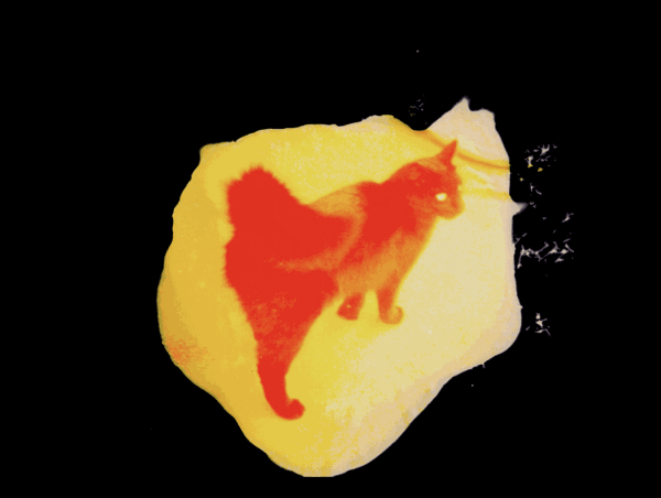 Tek 2110 Jwe 02 Image