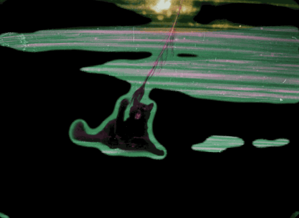 Tek 2110 Jwe 03 Image