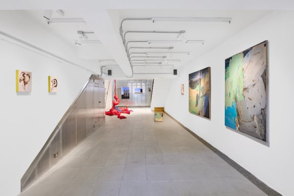 20240202Woawsun34956