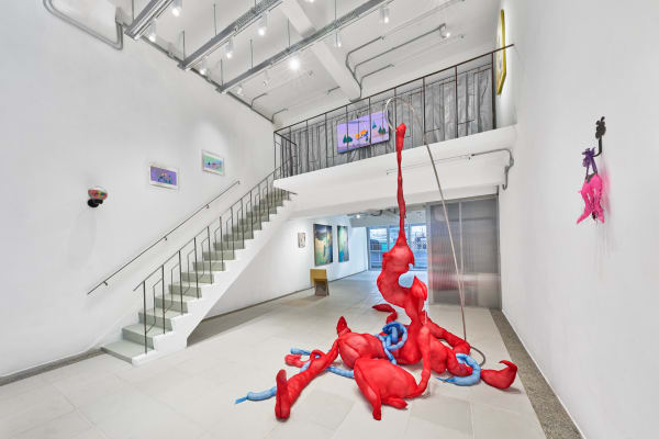 20240202Woawsun34970