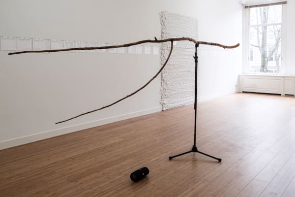 Suchan Kinoshita | Platzhalter
