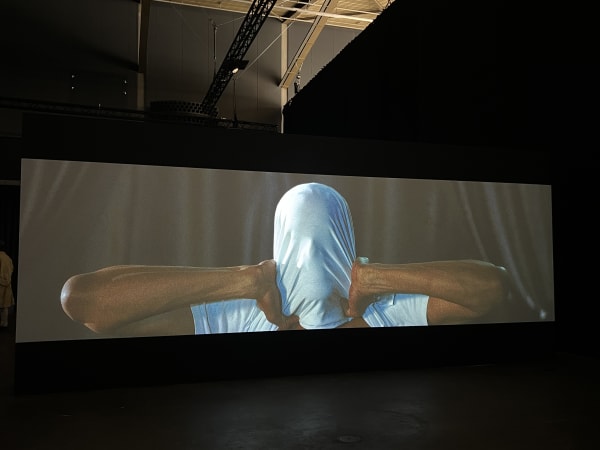 Installation view Pauline Boudry/Renate Lorenz at Projections