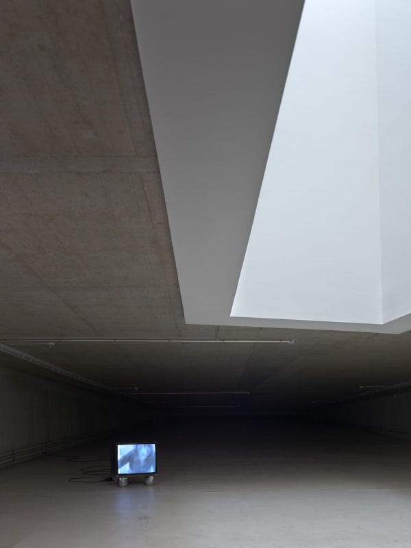 nstallationsansicht Pamela Z, Breathing (Carbon Song Cycle), 2014. Foto: Ivo Faber
