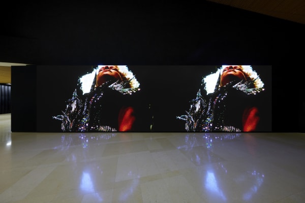 Pauline Boudry/Renate Lorenz, A Portrait, 2024 Leeum Museum of Art, Seoul. Picture by Kim Sang-tae.