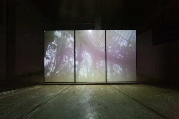 Pauline Boudry/Renate Lorenz, Fog is my Drug, Nest at Laak, photography by Kyle Tryhorn