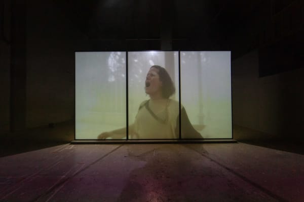 Pauline Boudry/Renate Lorenz, Fog is my Drug, Nest at Laak, photography by Kyle Tryhorn