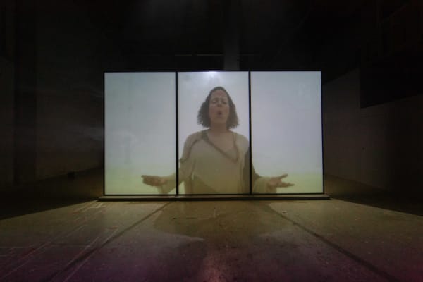 Pauline Boudry/Renate Lorenz, Fog is my Drug, Nest at Laak, photography by Kyle Tryhorn