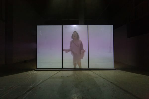 Pauline Boudry/Renate Lorenz, Fog is my Drug, Nest at Laak, photography by Kyle Tryhorn