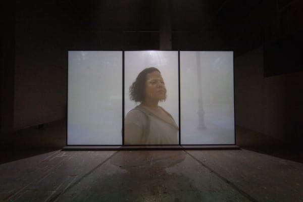 Pauline Boudry/Renate Lorenz, Fog is my Drug, Nest at Laak, photography by Kyle Tryhorn