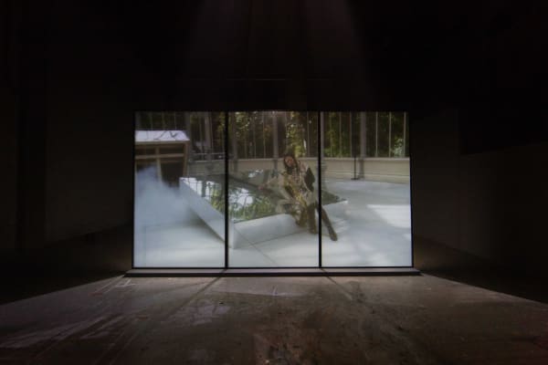 Pauline Boudry/Renate Lorenz, Fog is my Drug, Nest at Laak, photography by Kyle Tryhorn