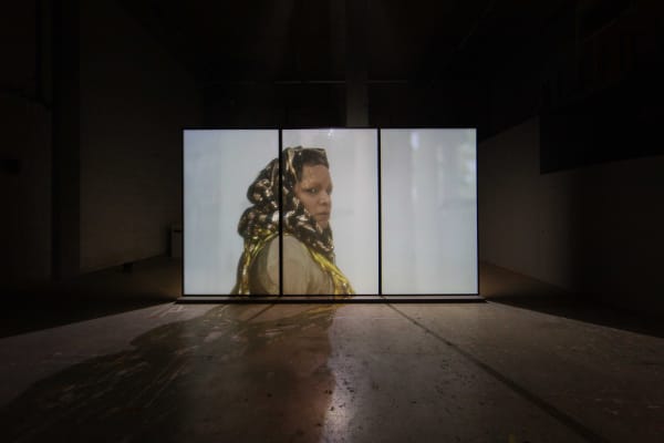 Pauline Boudry/Renate Lorenz, Fog is my Drug, Nest at Laak, photography by Kyle Tryhorn