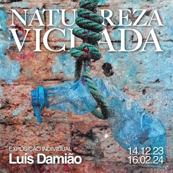 FINISSAGE | NATUREZA VICIADA | SOLO SHOW BY LUÍS DAMIÃO