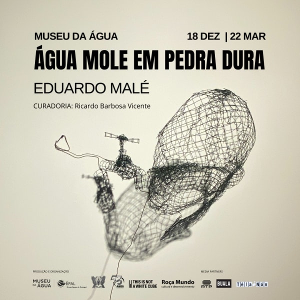 ÁGUA MOLE EM PEDRA DURA