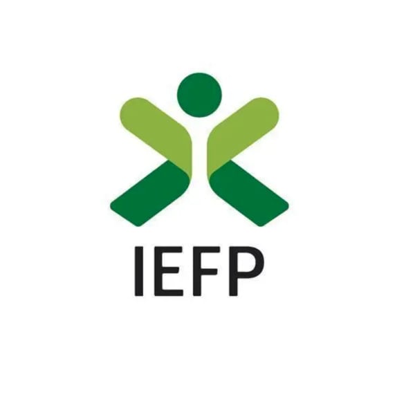 Estágios Profissionais