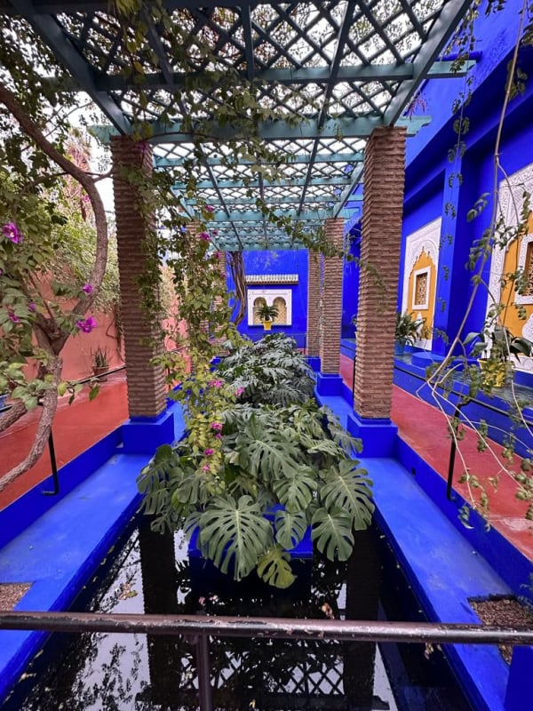 The art fair in Marrakesh and the obligation to return