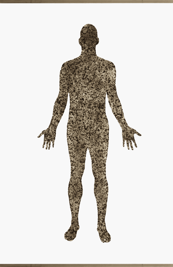 Pedro Pires Body, 2023, Sculpture on paper, 225 x 150 cm