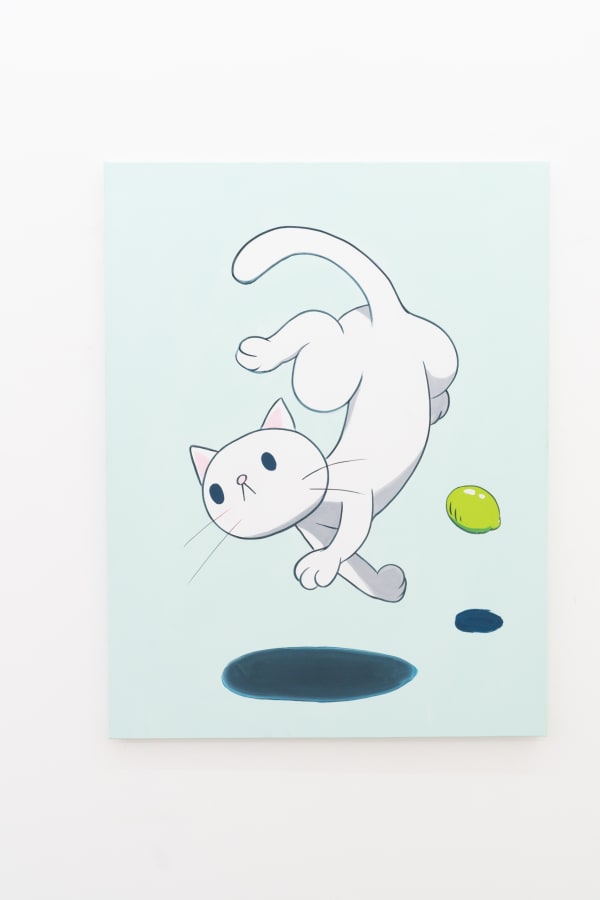 Cat and lime in the galaxy