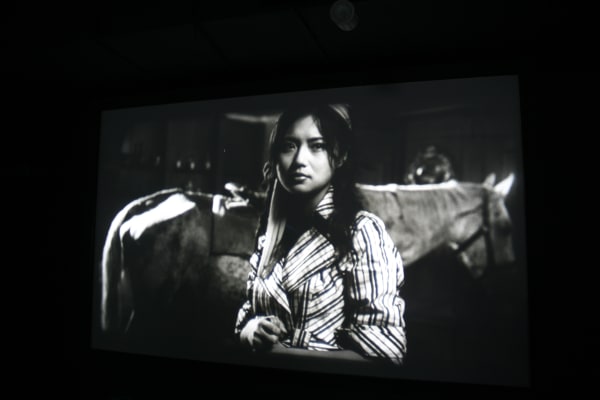 杨福东的美学天堂 Yang Fudong's Aesthetic Paradise