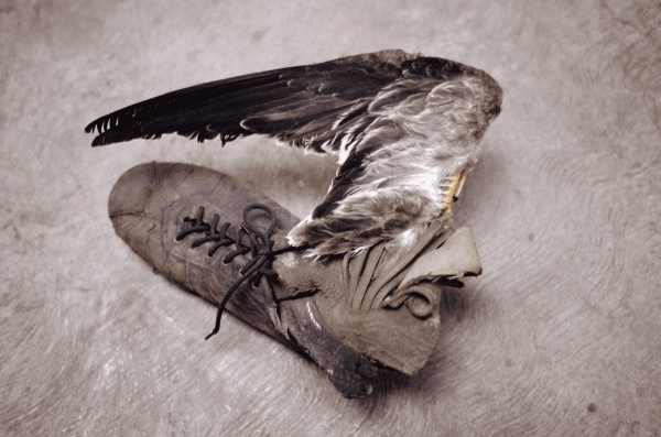 GABRIEL OROZCO, SOCCER WING, 1988/printed in 2016