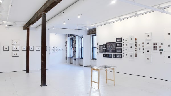 Polaroids: The Disappearing MATTHEW ANTEZZO, MICHEL AUDER, RITE BARROS, ROBERT BECK, BRIGID BERLIN, EMMA BEE BERNSTEIN, BRIAN BUCKLEY, TOM BURR, ELLEN CAREY, JOHN COPLANS, PHILIP-LORCA DICORCIA, JARRETT EARNEST, BARBARA ESS, SAUL FLETCHER, JIM FRENCH, JOE FYFE, DAVID GOERK, MARK GRO