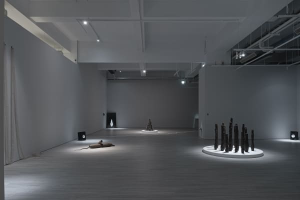 230106120000 Mini Srgb