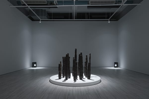 230106121104 Mini Srgb