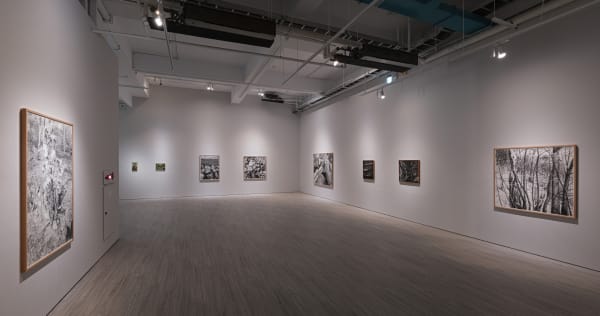 007 230706171723 Mini Srgb