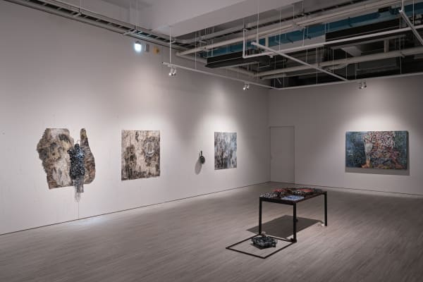 231130170701 Mini Srgb