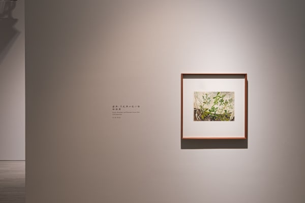 01 240118182020 Mini Srgb