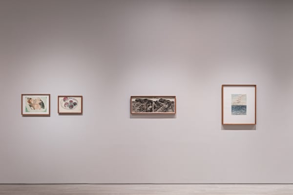 09 240118164250 Mini Srgb