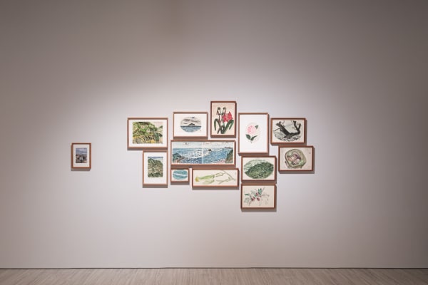 10 240118164344 Mini Srgb