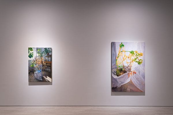 16 240314171004 Mini Srgb