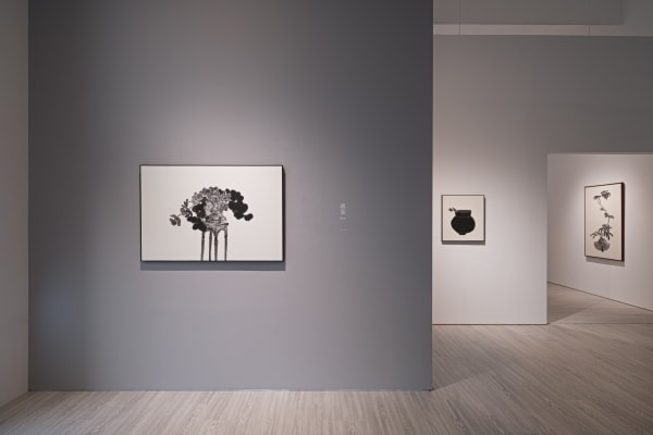 001 20240808181902 Mini Srgb