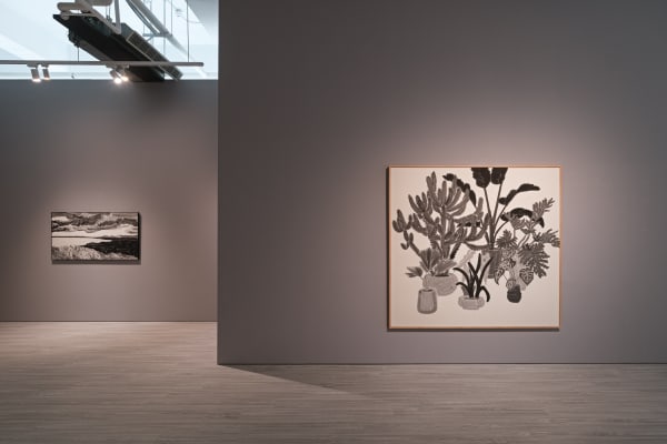 005 20240808164321 Mini Srgb